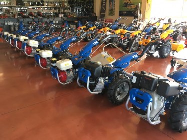 MOTOCOLTIVATORI PASQUALI-BCS (4)